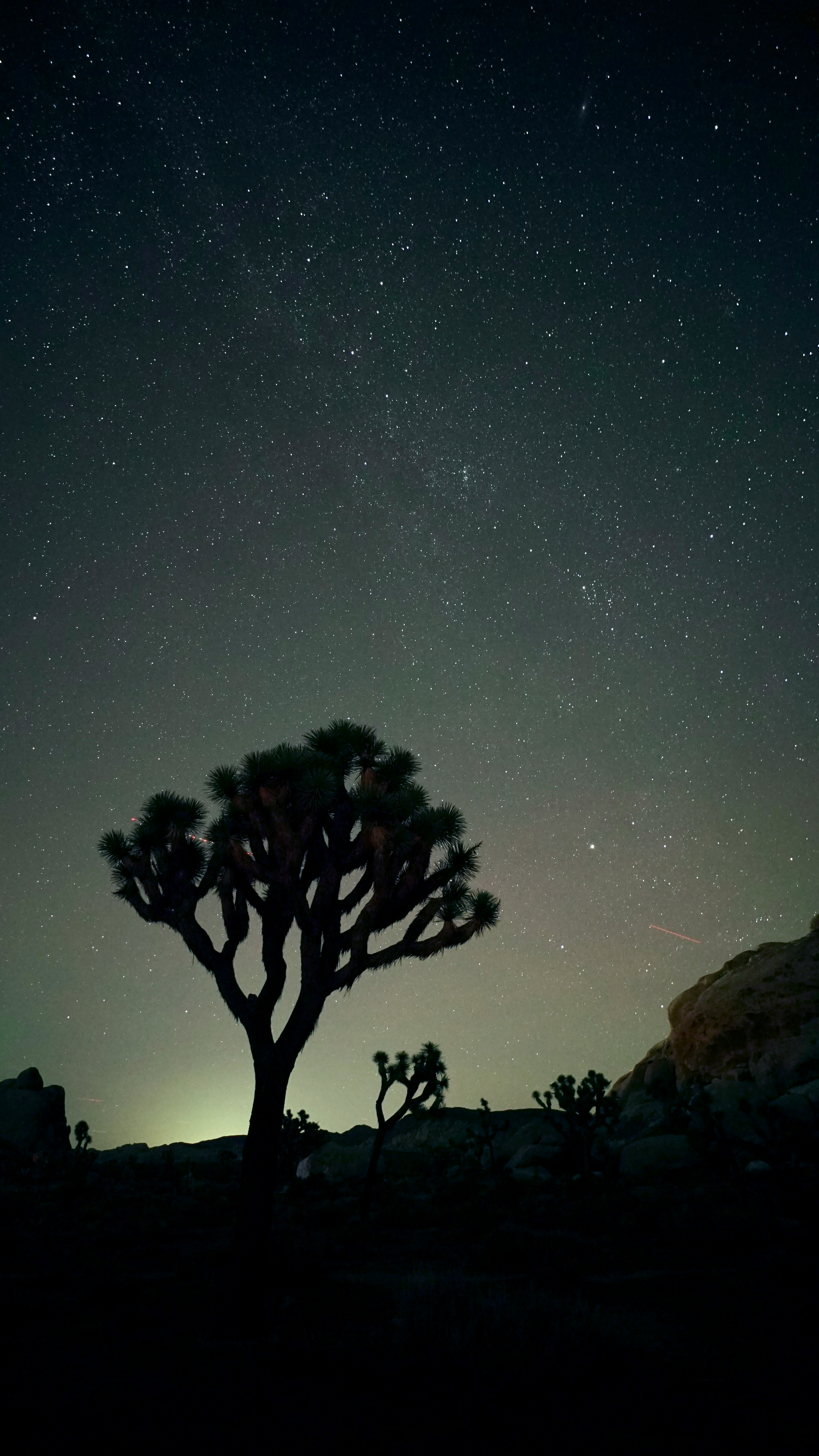 Desert Nights Camping Dubai