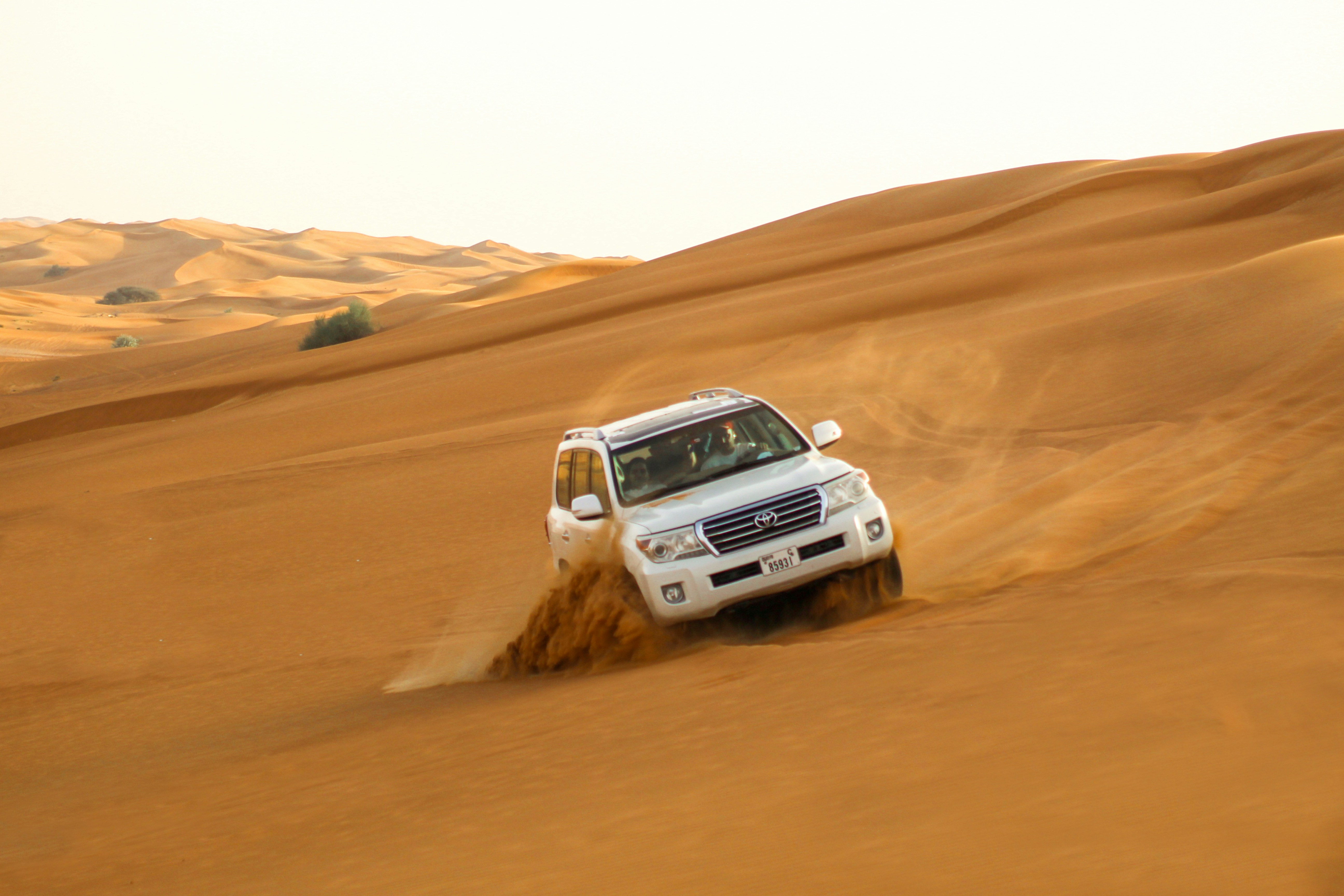 VIP Luxury Safari Dubai